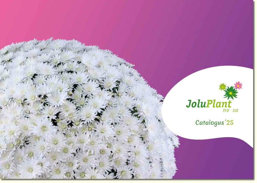 Joluplant catalog 2025